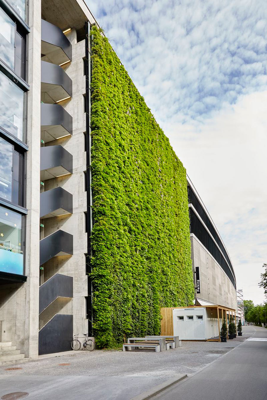 دیوار سبز کابلی | اجرای دیوار سبز کابلی