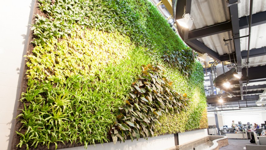استفاده از دیوار سبز در دکوراسیون داخلی