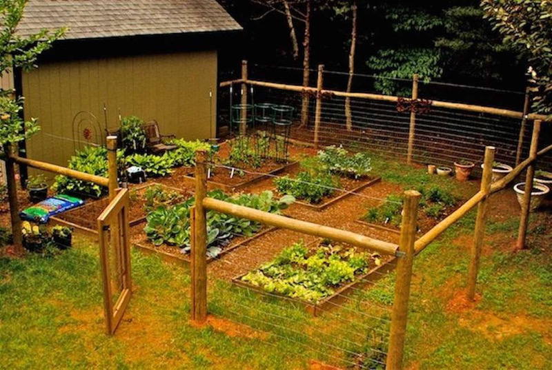 طراحی حصار باغ - ترکیب سیم و کنده درخت