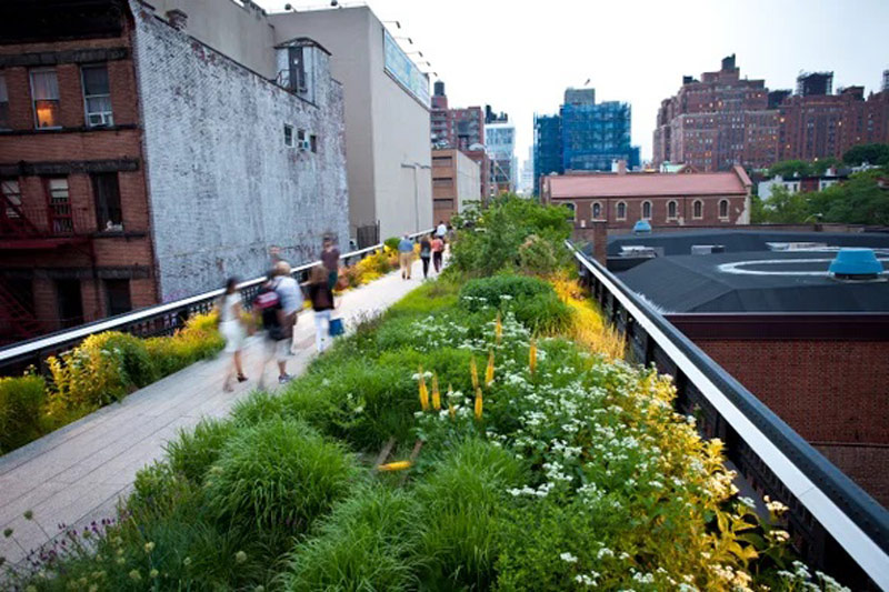نکات پایه در طراحی فضای سبز شهری