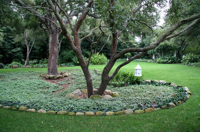 محوطه سازی اطراف درختان باغ | ایجاد مزر، میان درختان و فضای سبز چمن
